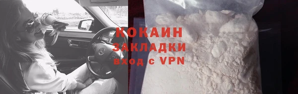 молекула духа Богданович