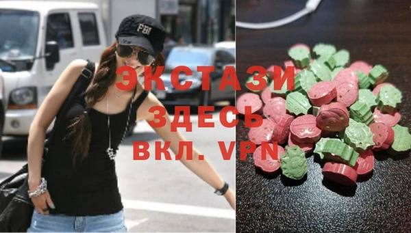 молекула духа Богданович